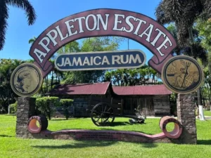 Discover the Magic of Appleton Estate Rum Tour St. Elizabeth with JARoutes