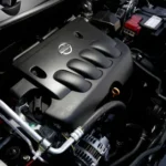 i-2025-03-01T114410.630.webp