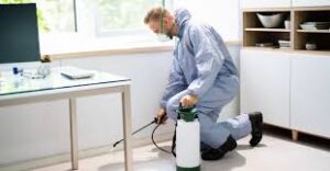 Pest Control in New York City | A Complete Guide