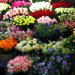 Cut-Flower.png