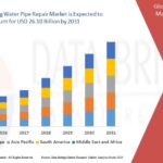 Global-Drinking-Water-Pipe-Repair-Market.jpg
