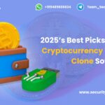 2025s-Best-Picks-Top-5-Cryptocurrency-Wallet-Clone-Software.jpg