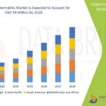 22.Stasis-Dermatitis-Market.jpg