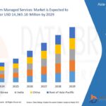 23.Asia-Pacific-Telecom-Managed-Services-Market.jpg