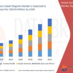 23.Samarium-Cobalt-Magnets-Market.jpg