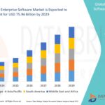 26.Healthcare-Enterprise-Software-Market.jpg
