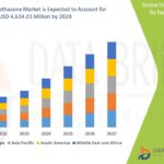 28.Dexamethasone-Market.jpg