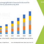 29.Veterinary-Imaging-Market.jpg