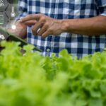 AR-In-Agriculture-M.jpg
