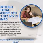 Certified-Ethical-Hacker-CEH-v13-312-50v13-Dumps.jpg