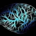 Glial-Progenitor-Differentiation.png