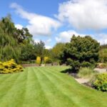 Landscaping-Pennant-Hills.jpg