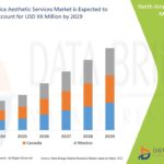 North-America-Aesthetic-Services-Market.jpg