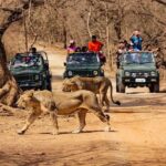 Sasan-Gir.jpg
