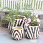 ceramic-plant-pots.jpeg