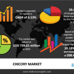 chicory-market.png