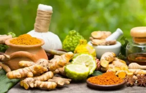 Exploring Wellness: Benefits of Naturopath Mount Waverley