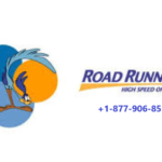 roadrunner-3.png