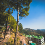 vacation-in-Solan.png