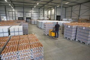 DWL Foods Global: Premium Frozen Chicken, Poultry, and Eggs Supplier