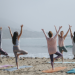 6544da17e013a427f409b22e_Wellness-and-Lifestyle.png