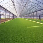 Agro-Textile-Market.jpg