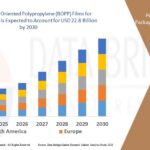 Biaxially-Oriented-Polypropylene-BOPP-Films-for-Packaging-Market.jpg
