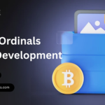 Bitcoin-Ordinals-Wallet-Development.png