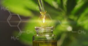 Understanding the Science and Process of Cannabis Extraction