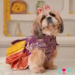 Festive-Dog-Lehenga.jpg