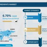 Food-Clean-Label-Ingredients-Market.jpg