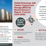 Global-Bioenergy-With-Carbon-Capture-And-Storage.png-BECCS.png