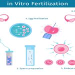 IVF-Treatment-in-Delhi.jpg