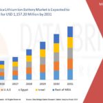 Middle-East-and-Africa-Lithium-Ion-Battery-Market.jpg