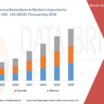 North-America-Gamma-Butyrolactone-Market.jpg