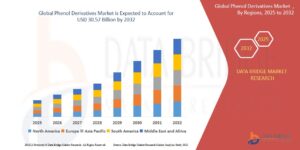 Phenol Derivatives Market Size, Share, Trends, Demand, Future Growth, Challenges and Competitive Analysis