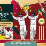 Top-Domestic-Cricket-Leagues-to-Bet-On-in-India.jpg