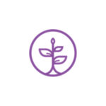 Untitled-design.png