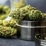 WEED.jpg