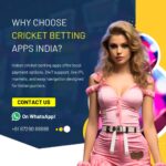 cricket.jpg