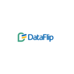 dataflip.png