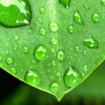 dew-point-calculator2.jpg