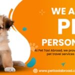 pet-taxi-banner-new.jpg