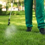 the-sprayer4.webp