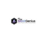 themoldgenius.com400.jpg