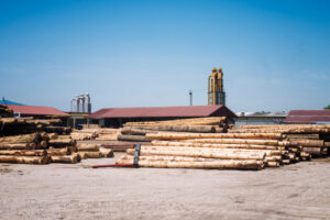 timber management companies