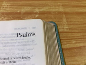 What Emotions Fill the Book of Psalms?