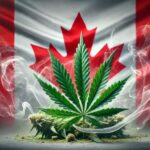 Canadian-Weed.jpg