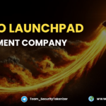 Crypto-Launchpad-Development-2.png