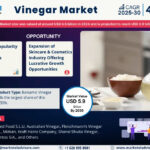 Global-Vinegar-Market.jpg